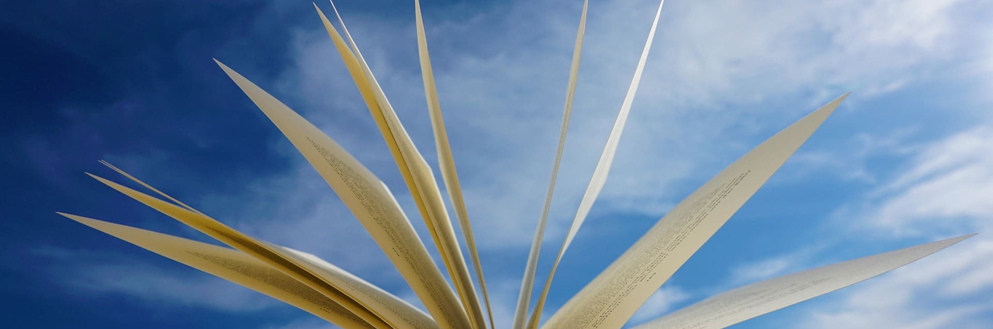 6. 飞行运行类技术出版物.jpg