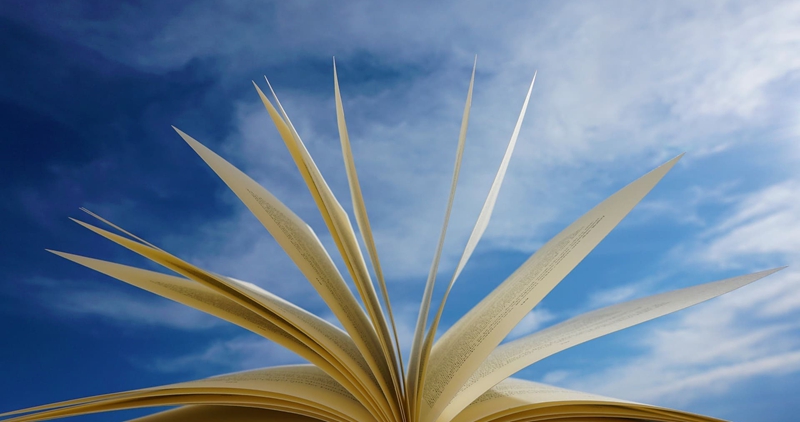 19. 客户服务文件.jpg