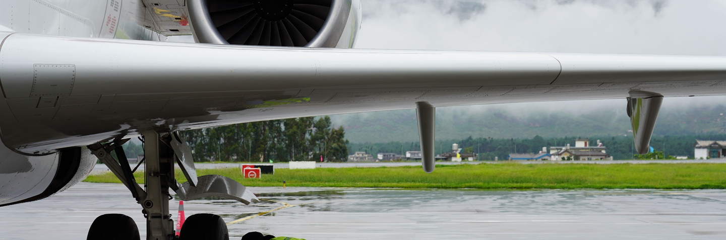 3. GSE技术服务.jpg